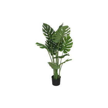 Pemë MONSTERA, 110 cm