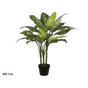 Pemë DIEFFENBACHIA, 90 cm