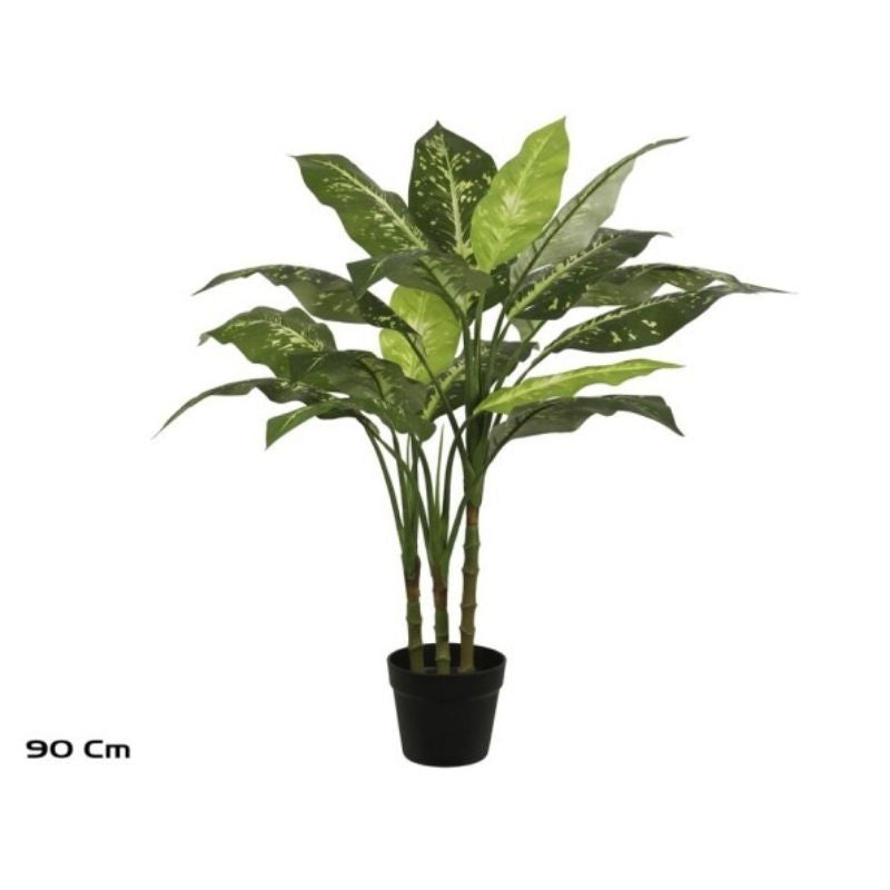 Pemë DIEFFENBACHIA, 90 cm