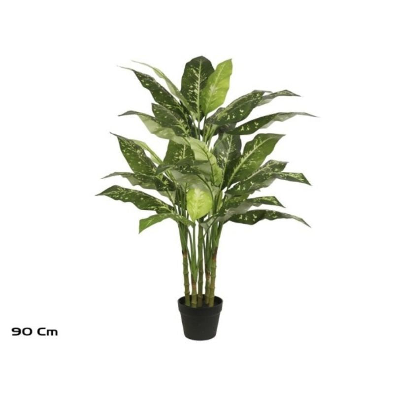 Pemë DIEFFENBACHIA, 110 cm