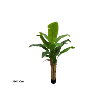 Pemë BANANA, 190 cm