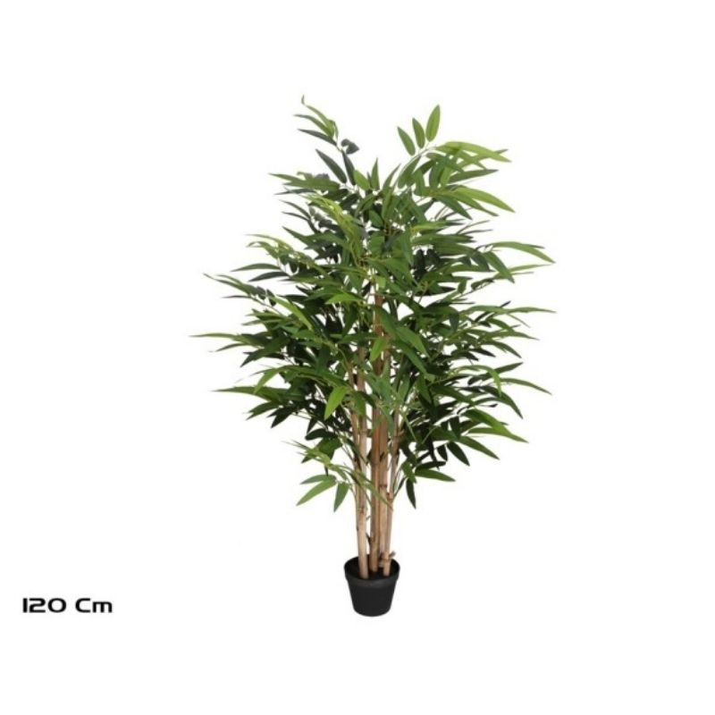 Pemë Bamboo, 120 cm