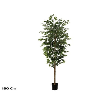 Pemë Bamboo, 180 cm