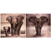 Kanavacë ELEPHANT