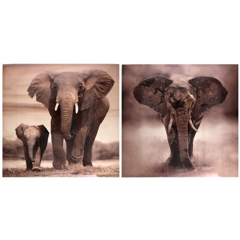 Kanavacë ELEPHANT