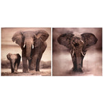 Kanavacë ELEPHANT