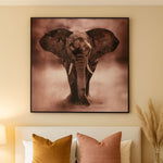 Kanavacë ELEPHANT