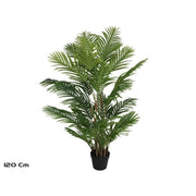 Palmë, 120 cm