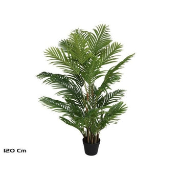 Palmë, 120 cm