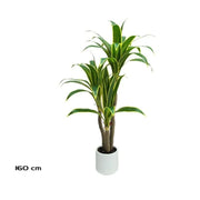 Lule artificiale DRACENA, 160 cm