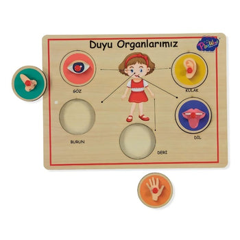Organe me dorezë druri lodër