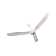 Ventilator tavani
