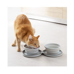 Duo pet food bowl