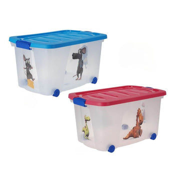 Transparent plastic organizer with handle