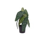Artificial flower vase