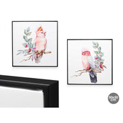 Kanavacë FRAME BIRD