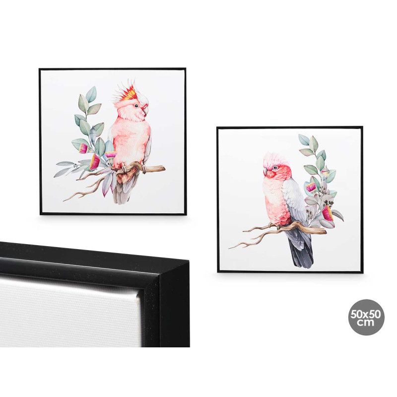 Kanavacë FRAME BIRD