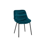 Karrige AMELI, Blue