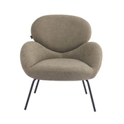 Karrige statike ZAHE, Brown