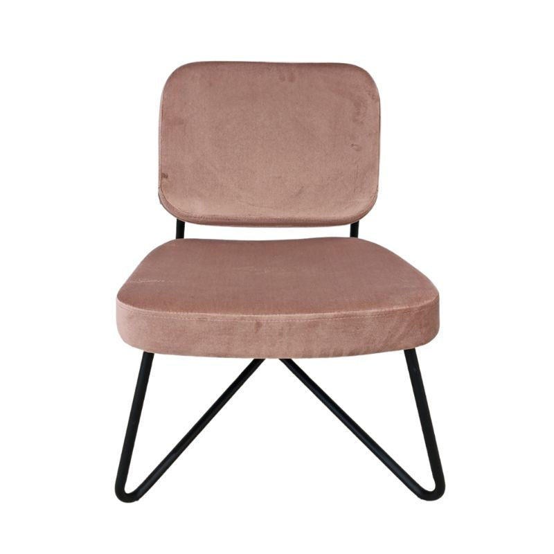 Karrige JAILA, Pink
