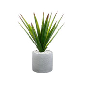 Aloe Vera artificiale