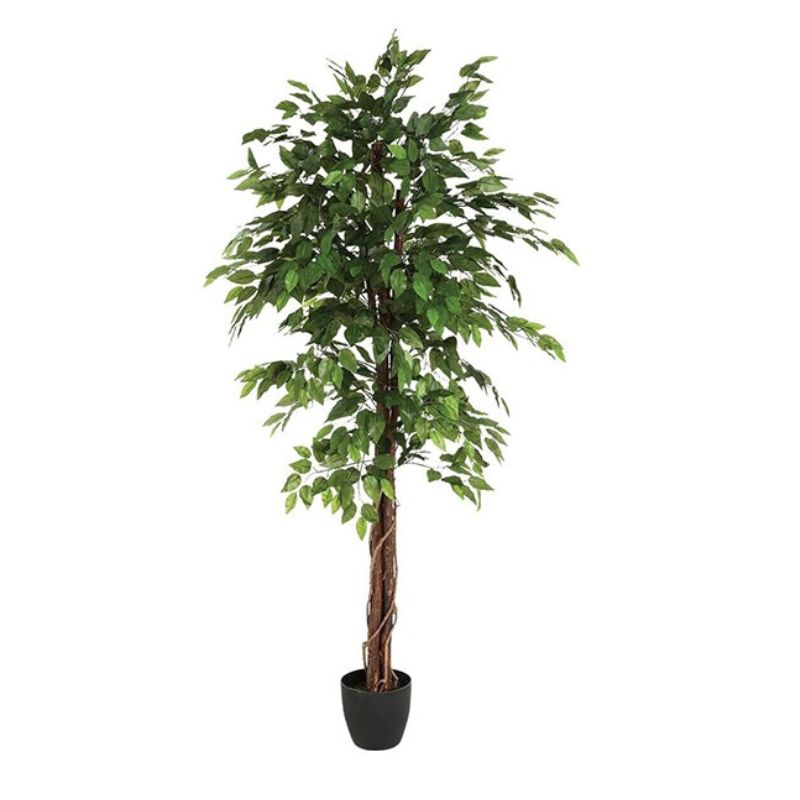 Lule artificiale FICUS