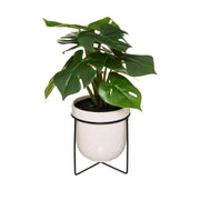 Lule artificiale MONSTERA