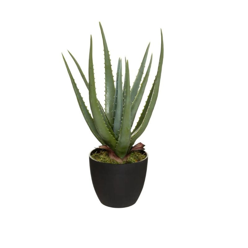 Lule artificiale ALOE