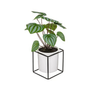 Lule artificiale MARANTA