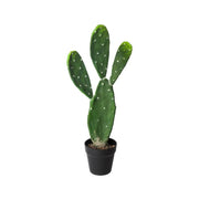 Lule artificiale CACTUS