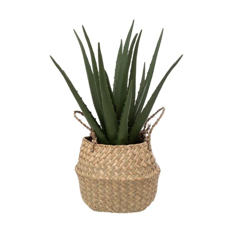 Lule artificiale ALOE