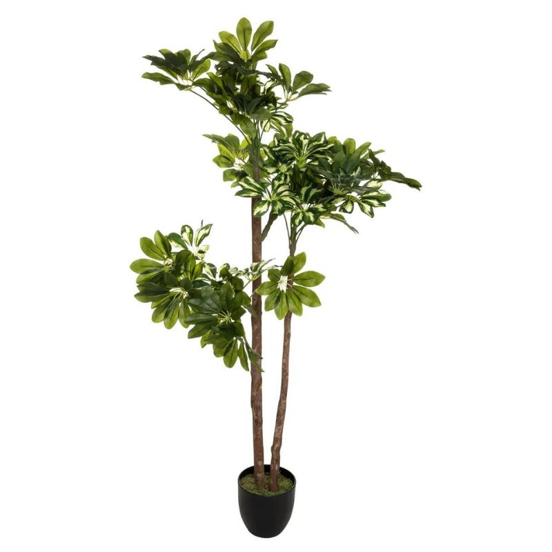 Lule artificiale SCHEFFLERA