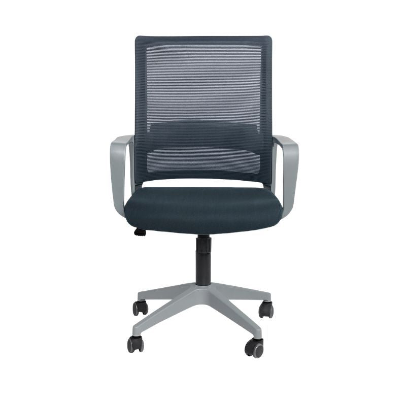 Karrige zyre WILL, Grey