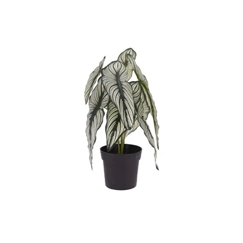 Vazo me bimë artificiale CALATHEA