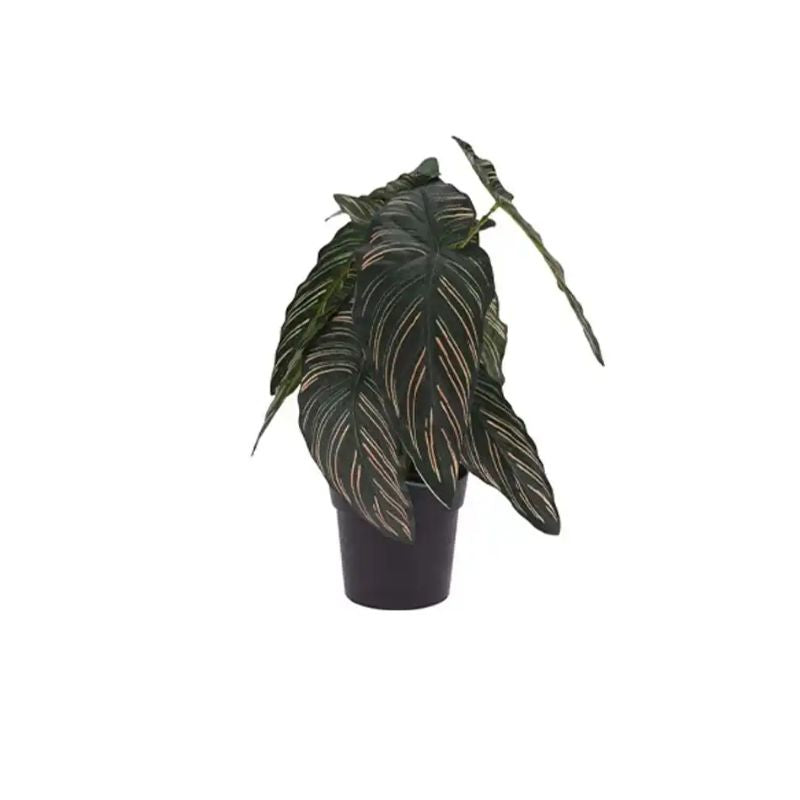 Vazo me bimë artificiale CALATHEA