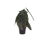 Artificial flower vase