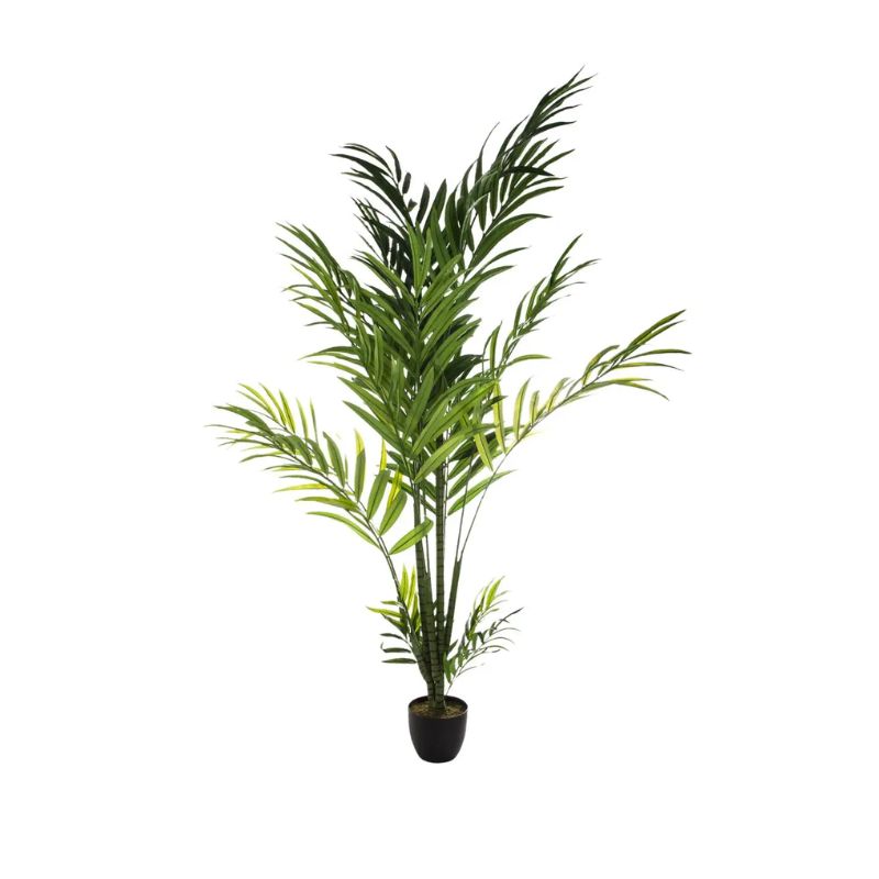 Pemë artficiale ARECA