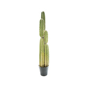 Pemë artificiale CACTUS