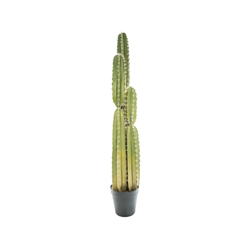Pemë artificiale CACTUS