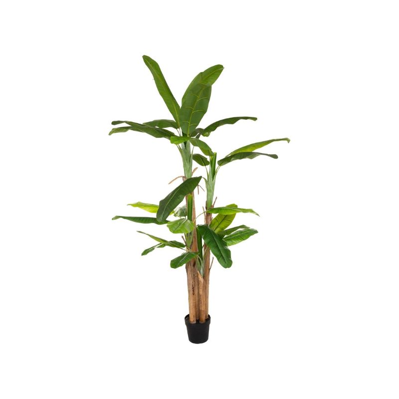 Pemë artificiale BANANA
