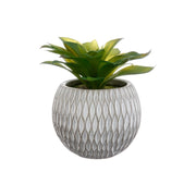 Lule artificiale SUCCULENT