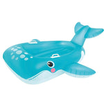 Komardare BLUE WHALE