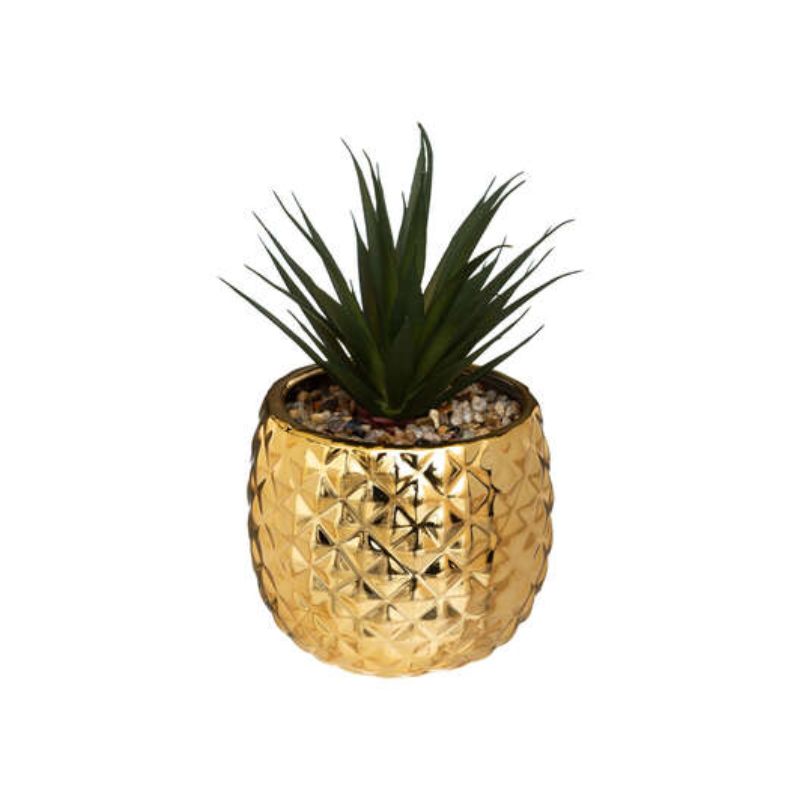 Vazo ananas me bimë