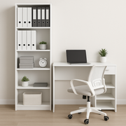 Set studimi
