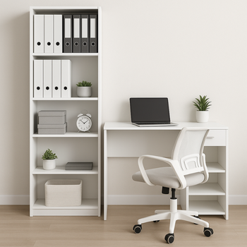Set studimi