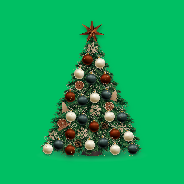 Krishtlindje & Viti i Ri