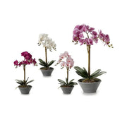 Vazo Orkide artificiale, 58cm