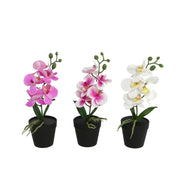 Vazo me lule ORCHID