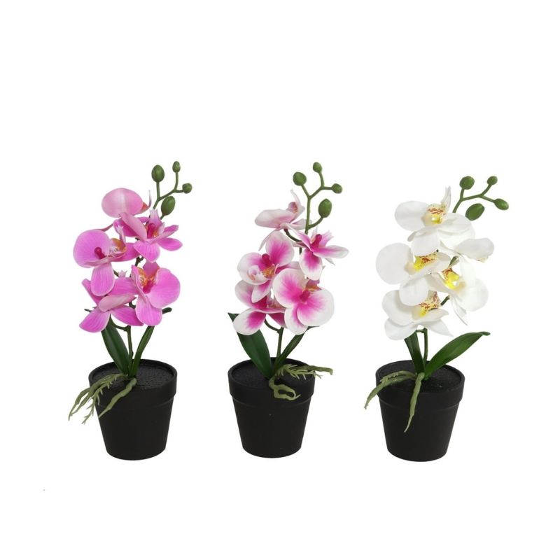 Vazo me lule ORCHID