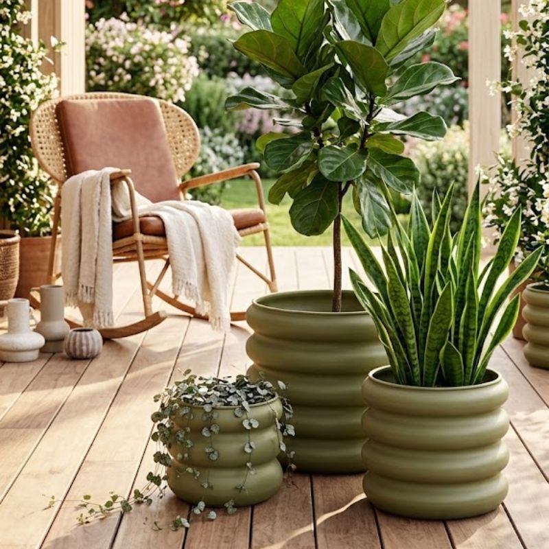 Set vazo lulesh ngjyrë ullrii , 3 copë